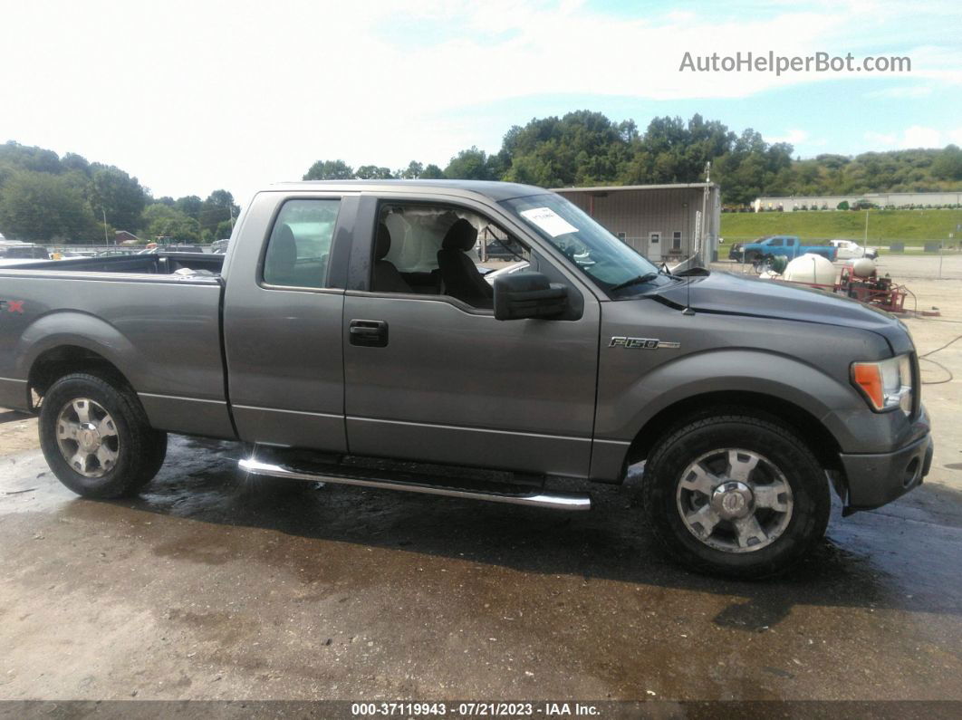 2010 Ford F-150 Stx Gray vin: 1FTEX1E8XAFA95946