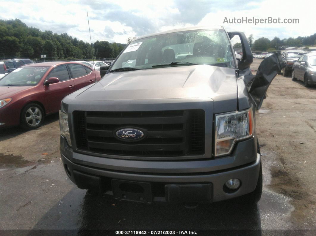 2010 Ford F-150 Stx Серый vin: 1FTEX1E8XAFA95946