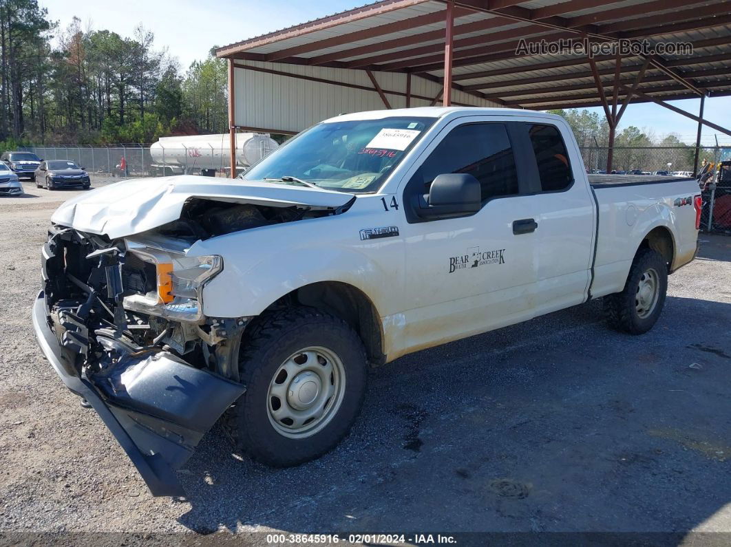 2019 Ford F-150 Xl White vin: 1FTEX1EB4KFB36715