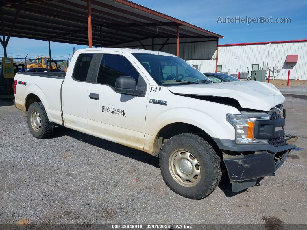 2019 Ford F-150 Xl White vin: 1FTEX1EB4KFB36715