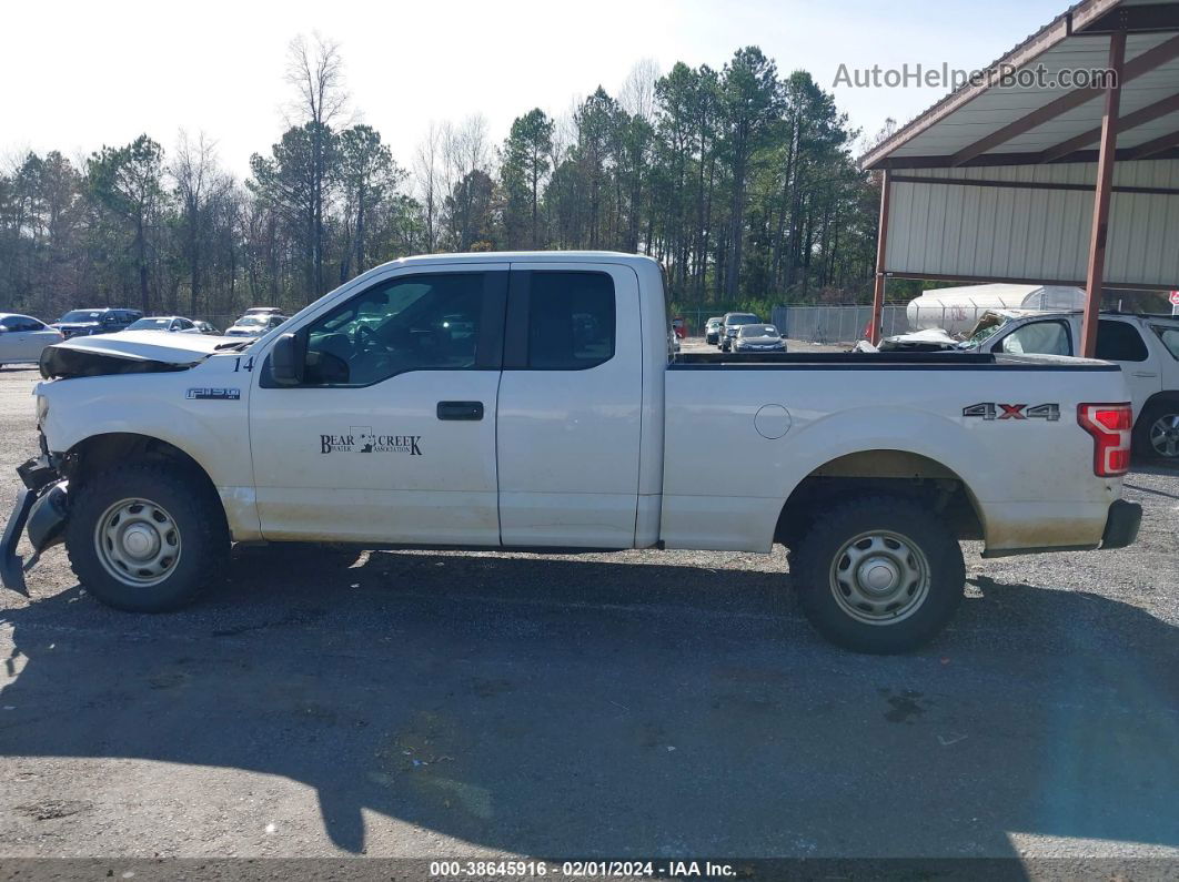 2019 Ford F-150 Xl White vin: 1FTEX1EB4KFB36715