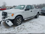 2014 Ford F-150 Stx White vin: 1FTEX1EM7EKE46791