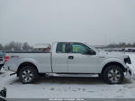 2014 Ford F-150 Stx White vin: 1FTEX1EM7EKE46791