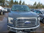 2017 Ford F-150 Xlt Gray vin: 1FTEX1EP9HFA06546