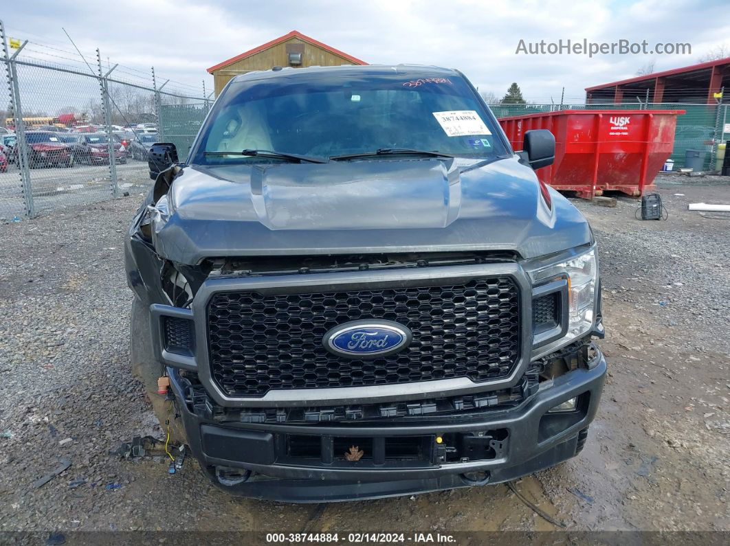 2019 Ford F-150 Xl Gray vin: 1FTEX1EPXKKC19665