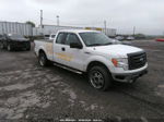 2010 Ford F-150 Stx/xl White vin: 1FTEX1EW5AFC14131