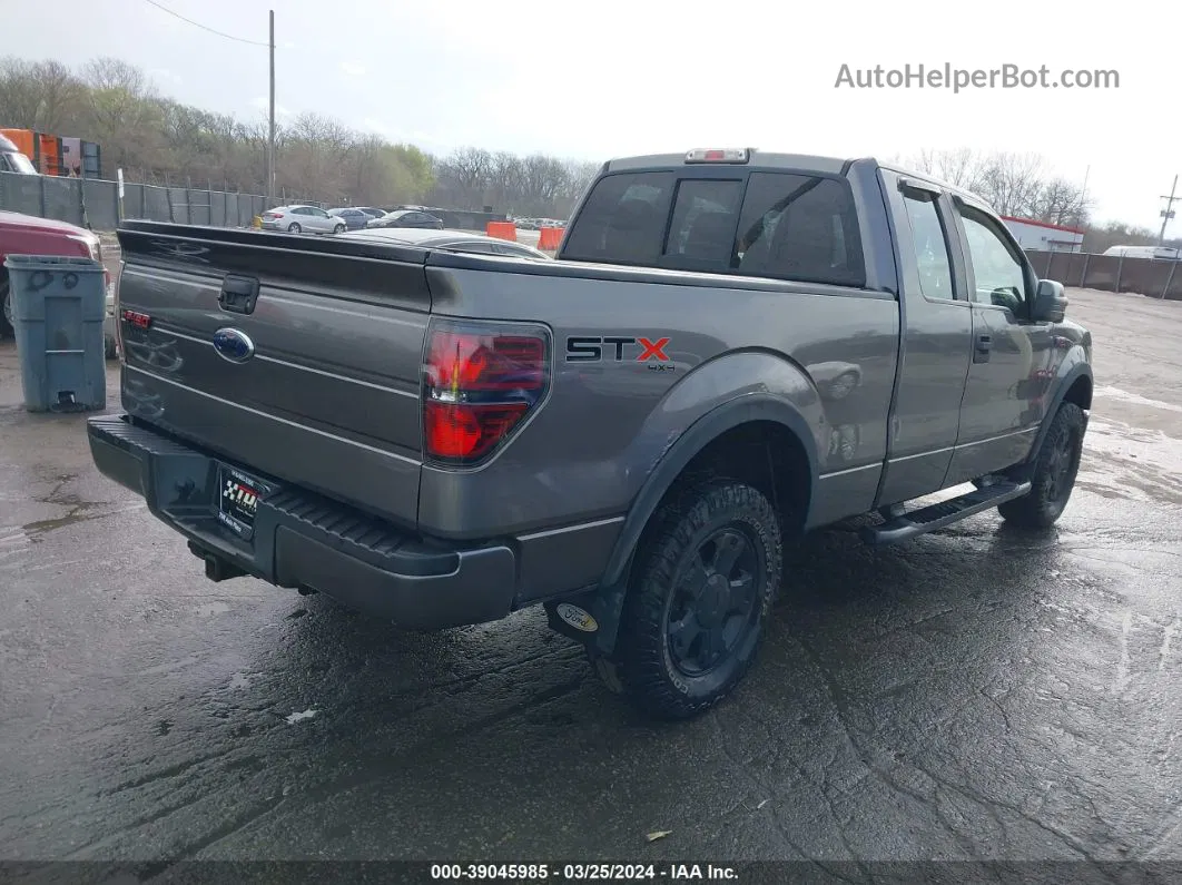 2010 Ford F-150 Stx Silver vin: 1FTEX1EW7AFB16766