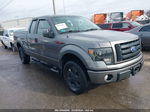 2010 Ford F-150 Stx Silver vin: 1FTEX1EW7AFB16766