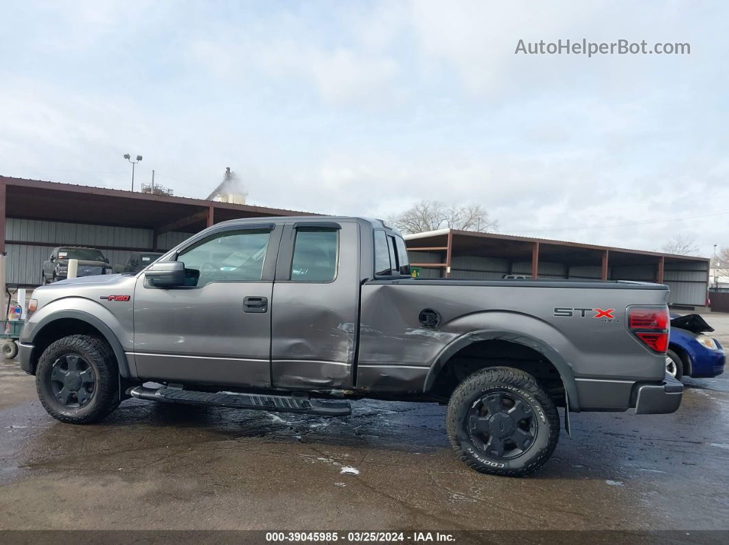 2010 Ford F-150 Stx Silver vin: 1FTEX1EW7AFB16766