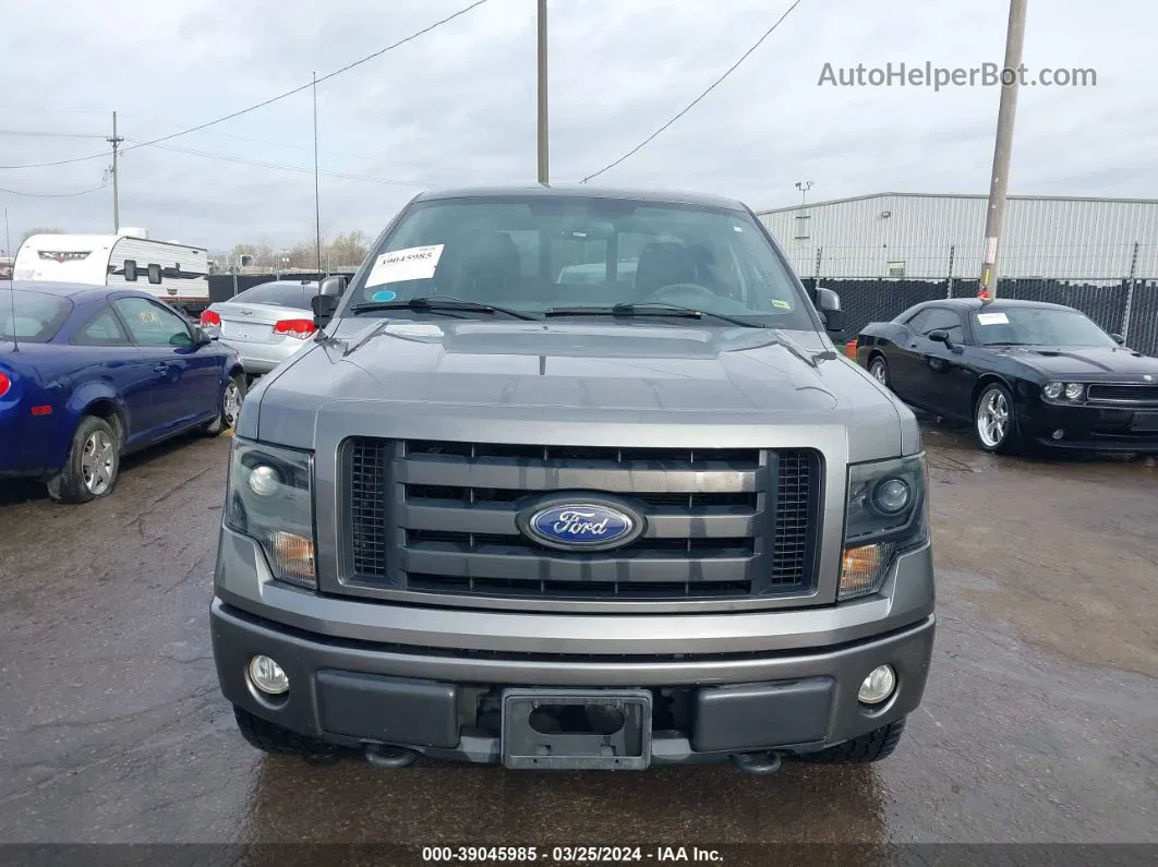 2010 Ford F-150 Stx Silver vin: 1FTEX1EW7AFB16766