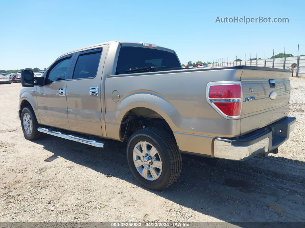 2011 Ford F150 Supercrew Brown vin: 1FTFW1CF1BFD00693