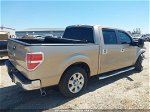 2011 Ford F150 Supercrew Brown vin: 1FTFW1CF1BFD00693