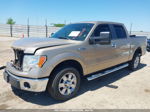 2011 Ford F150 Supercrew Brown vin: 1FTFW1CF1BFD00693