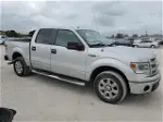 2014 Ford F150 Supercrew Silver vin: 1FTFW1CF2EKF69751