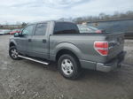 2011 Ford F150 Supercrew Серый vin: 1FTFW1CF4BKD22503