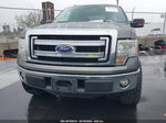 2014 Ford F-150 Xlt Gray vin: 1FTFW1CF4EKD45574