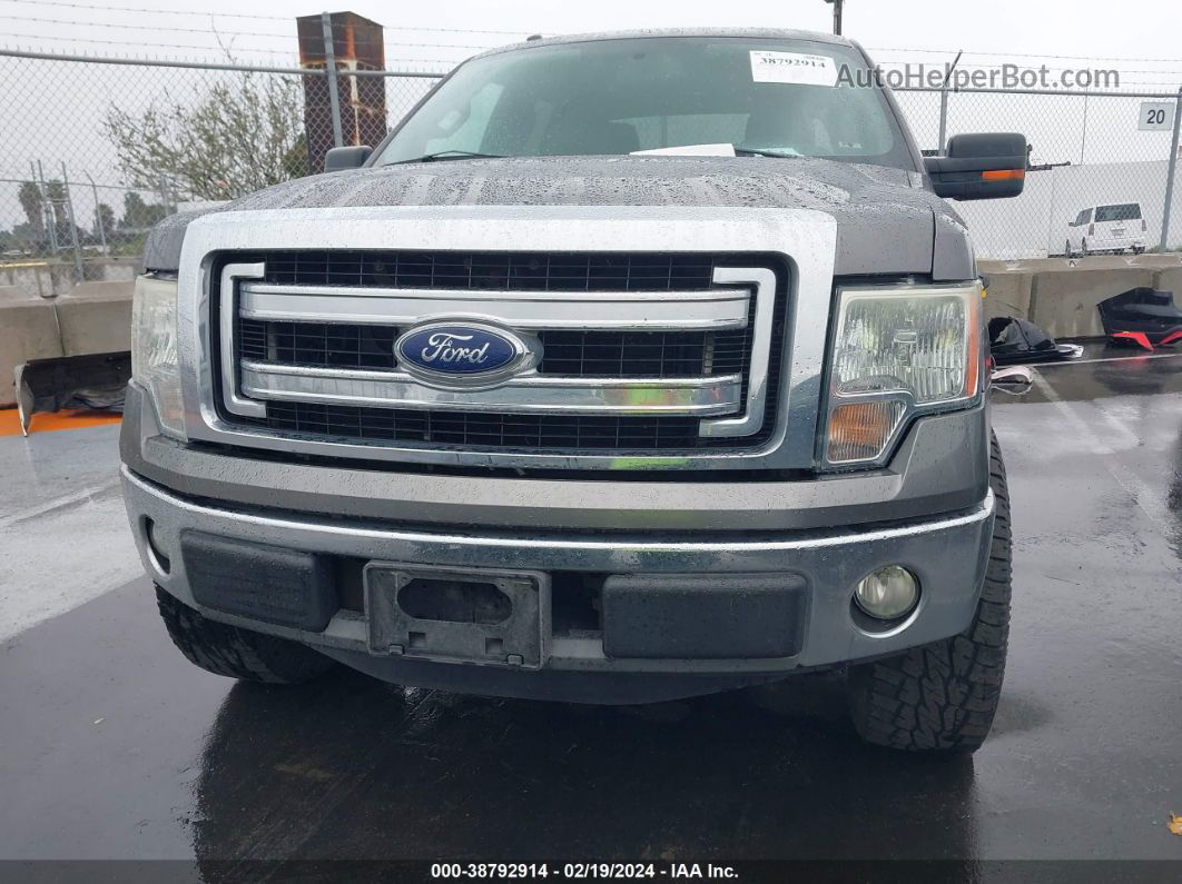 2014 Ford F-150 Xlt Gray vin: 1FTFW1CF4EKD45574