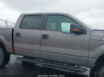 2014 Ford F-150 Xlt Gray vin: 1FTFW1CF4EKD45574