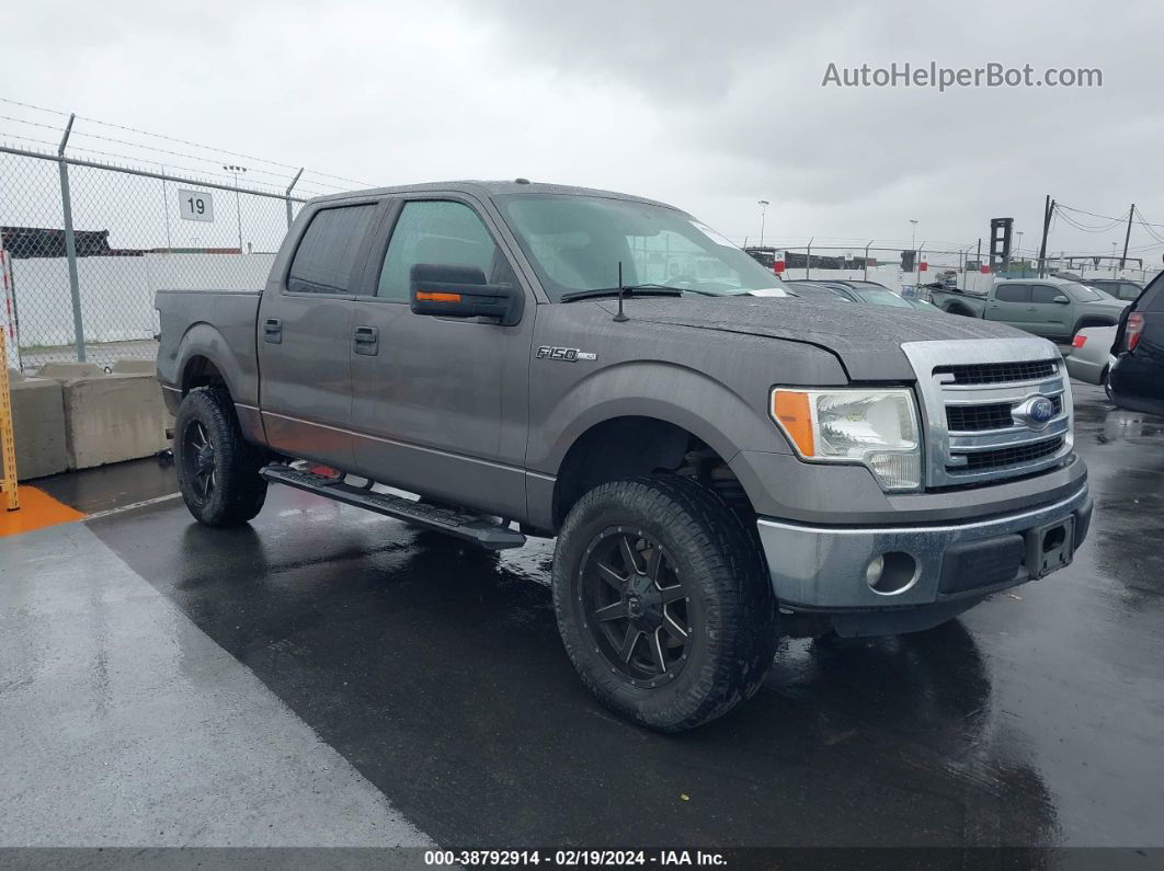 2014 Ford F-150 Xlt Gray vin: 1FTFW1CF4EKD45574