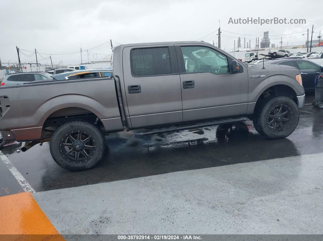 2014 Ford F-150 Xlt Gray vin: 1FTFW1CF4EKD45574