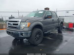 2014 Ford F-150 Xlt Gray vin: 1FTFW1CF4EKD45574