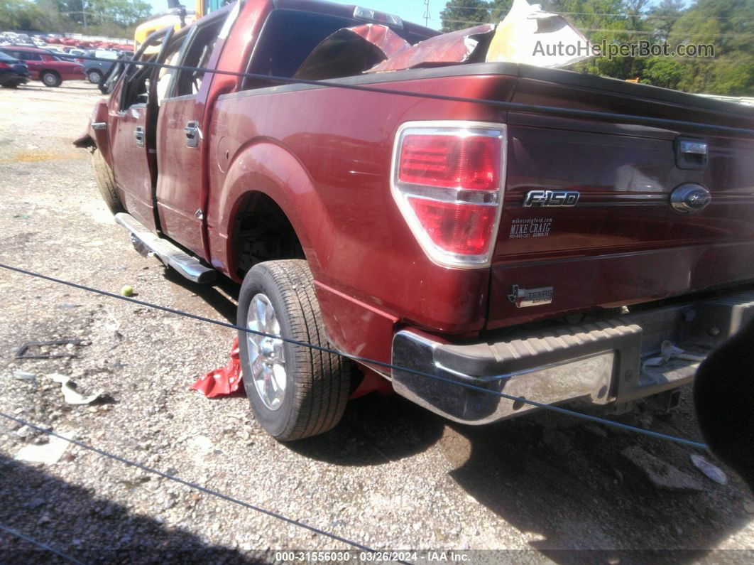 2014 Ford F-150 Xlt Burgundy vin: 1FTFW1CF4EKF20843