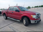 2014 Ford F-150 Xlt Red vin: 1FTFW1CF5EFA27813