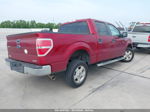 2014 Ford F-150 Xlt Red vin: 1FTFW1CF5EFA27813