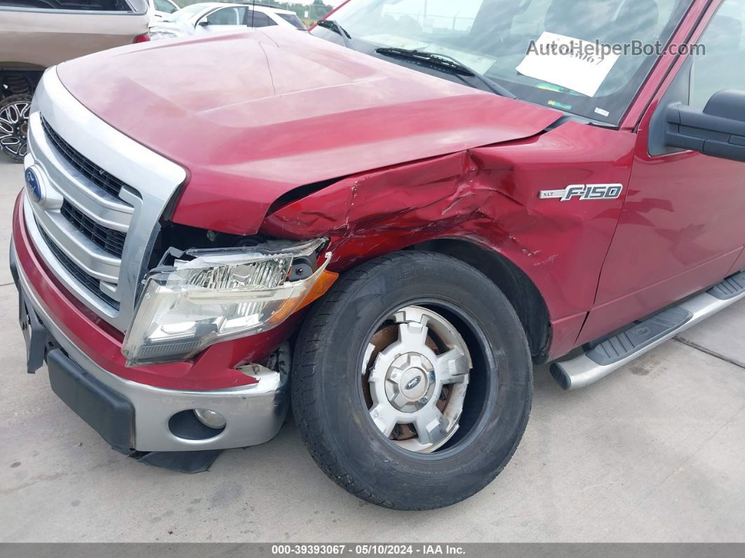 2014 Ford F-150 Xlt Red vin: 1FTFW1CF5EFA27813