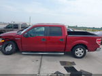 2014 Ford F-150 Xlt Red vin: 1FTFW1CF5EFA27813