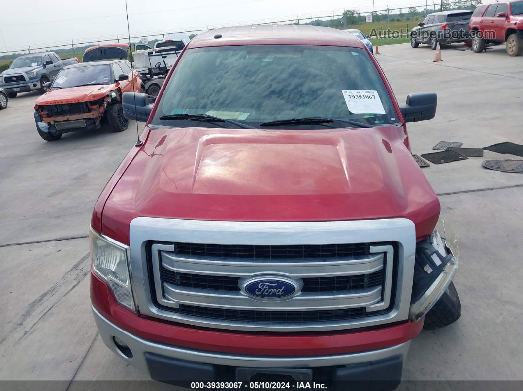 2014 Ford F-150 Xlt Red vin: 1FTFW1CF5EFA27813