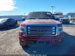 2014 Ford F-150 Platinum Red vin: 1FTFW1CF6EFB16712