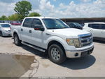 2014 Ford F-150 Xl/stx/xlt/fx2/lariat White vin: 1FTFW1CF8EFC09795