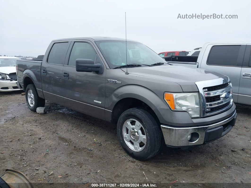 2014 Ford F-150 Xlt Gray vin: 1FTFW1CT0EKD12058