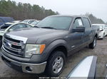 2014 Ford F-150 Xlt Gray vin: 1FTFW1CT0EKD12058