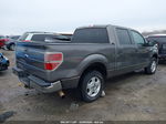 2014 Ford F-150 Xlt Gray vin: 1FTFW1CT0EKD12058