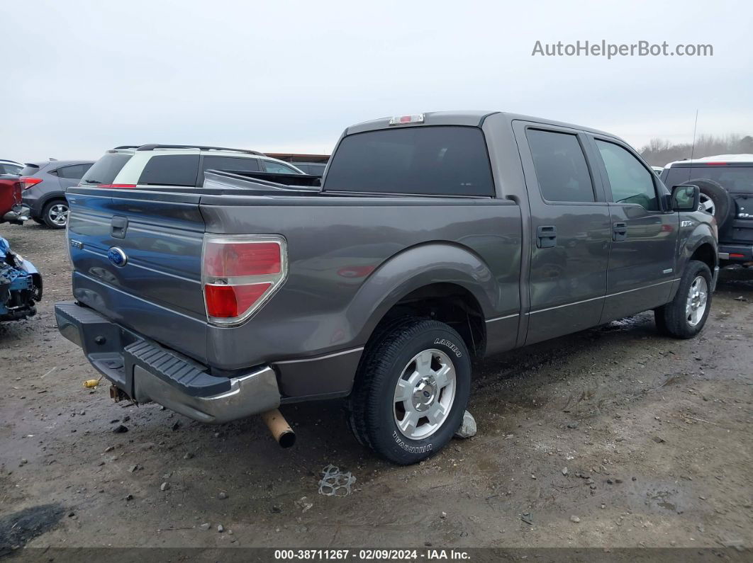 2014 Ford F-150 Xlt Gray vin: 1FTFW1CT0EKD12058