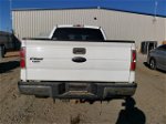 2011 Ford F150 Supercrew White vin: 1FTFW1CT1BKD62639