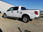 2011 Ford F150 Supercrew White vin: 1FTFW1CT1BKD62639