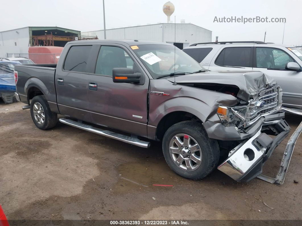 2014 Ford F-150 Xlt Gray vin: 1FTFW1CT1EKE37604