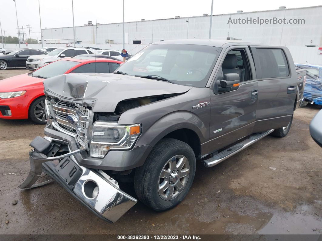 2014 Ford F-150 Xlt Gray vin: 1FTFW1CT1EKE37604