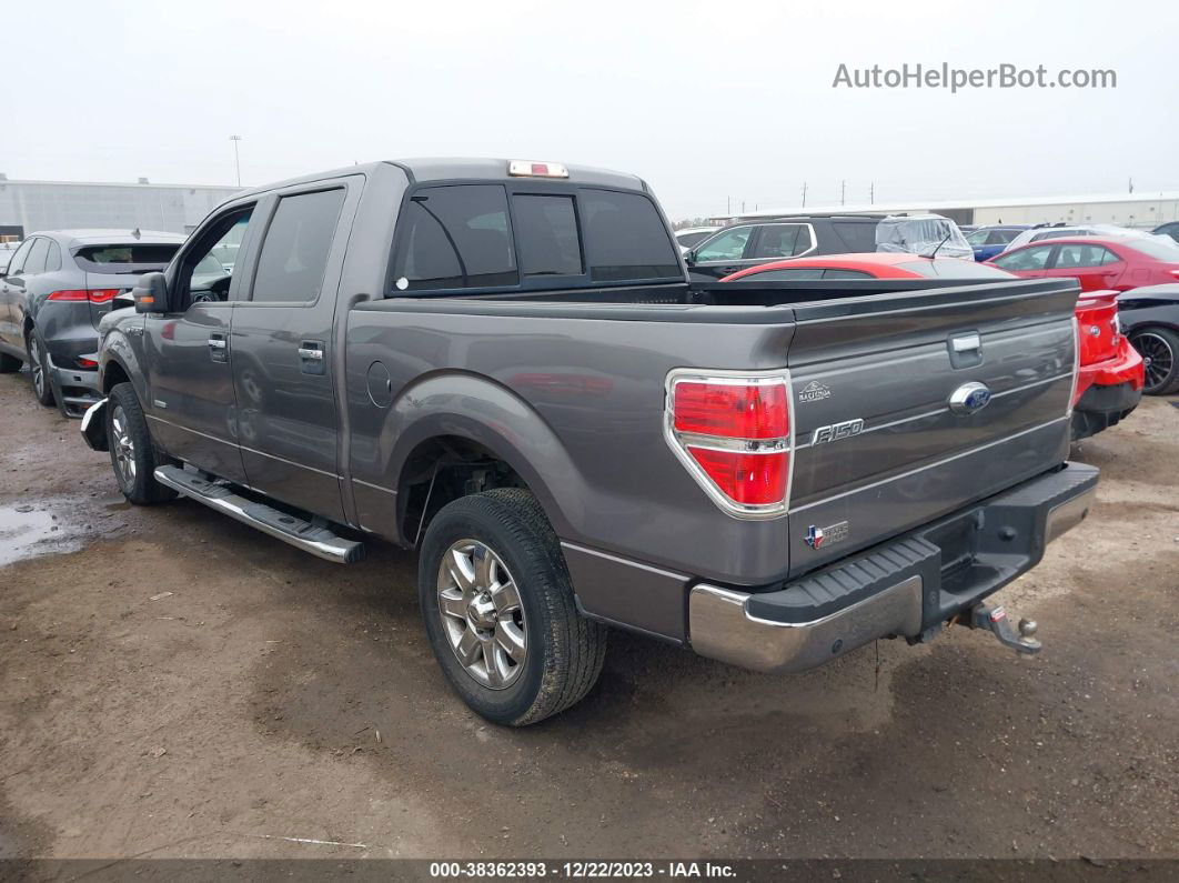 2014 Ford F-150 Xlt Gray vin: 1FTFW1CT1EKE37604