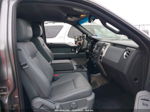 2014 Ford F-150 Xlt Gray vin: 1FTFW1CT1EKE37604