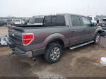 2014 Ford F-150 Xlt Gray vin: 1FTFW1CT1EKE37604