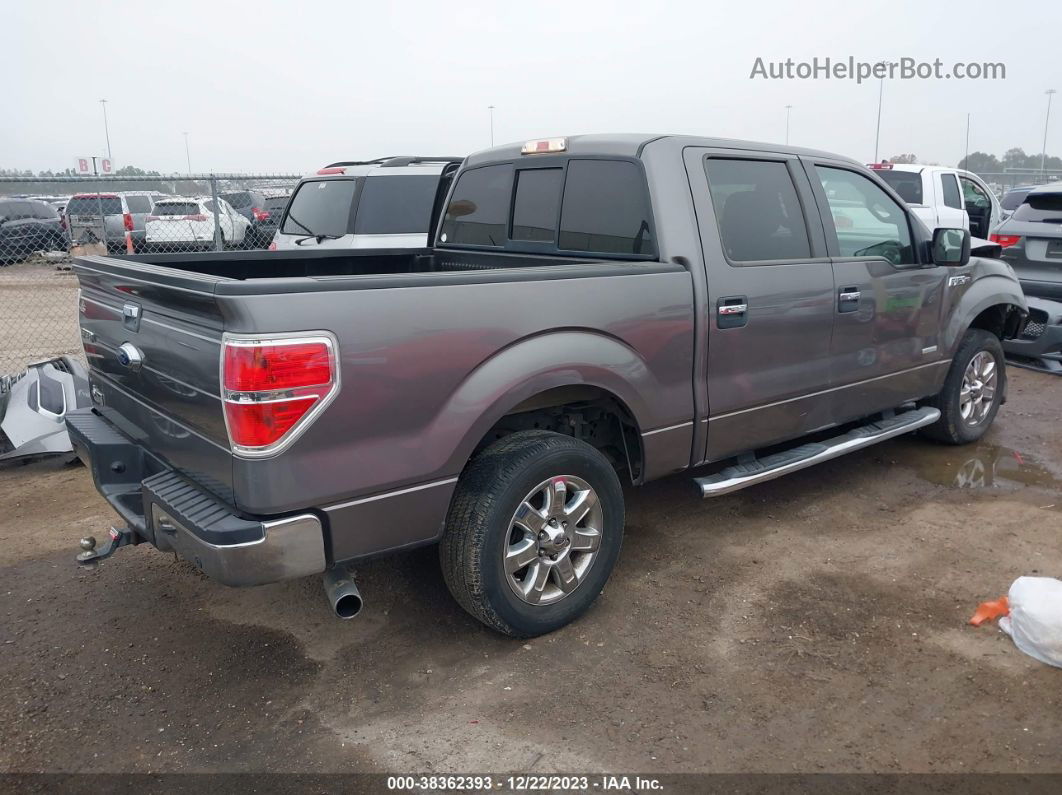 2014 Ford F-150 Xlt Gray vin: 1FTFW1CT1EKE37604