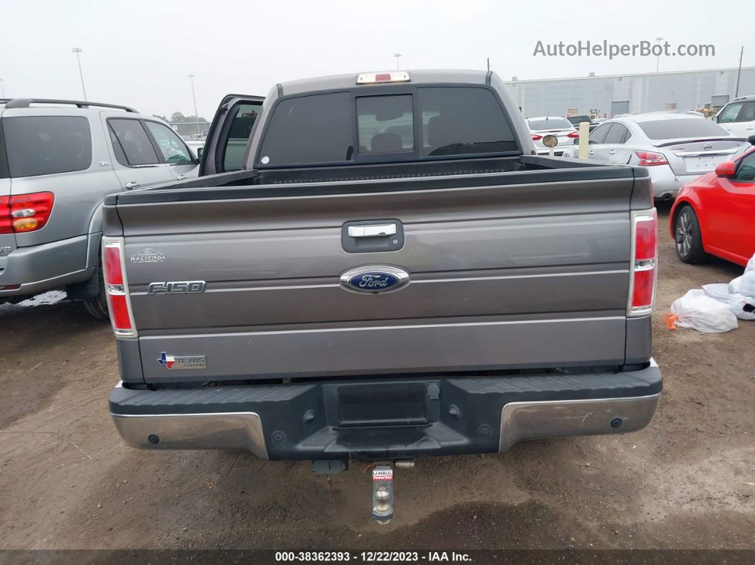 2014 Ford F-150 Xlt Gray vin: 1FTFW1CT1EKE37604