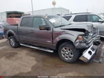 2014 Ford F-150 Xlt Gray vin: 1FTFW1CT1EKE37604