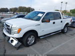 2014 Ford F-150 Xlt White vin: 1FTFW1CT1EKG52321