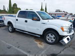 2014 Ford F-150 Xlt White vin: 1FTFW1CT1EKG52321