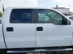 2014 Ford F-150 Xlt White vin: 1FTFW1CT1EKG52321